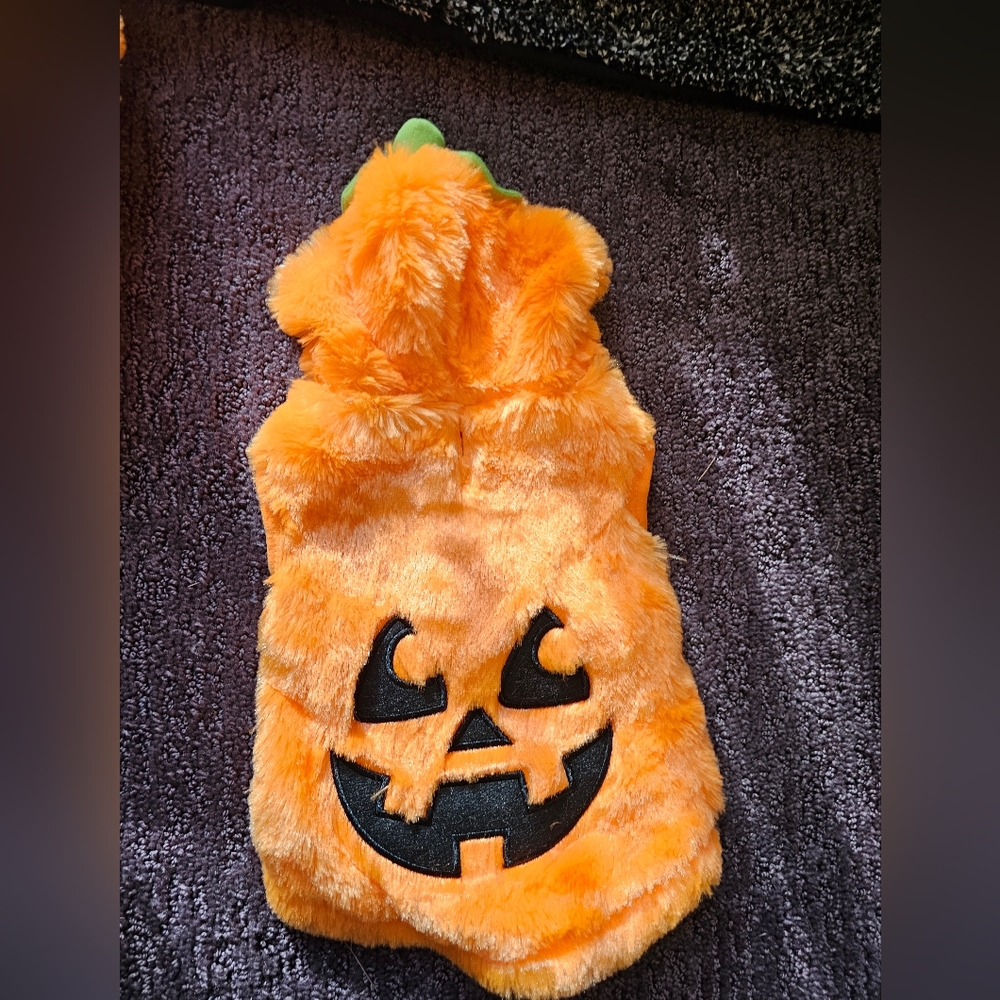 Small Dog Pumpkin Costume - Orange